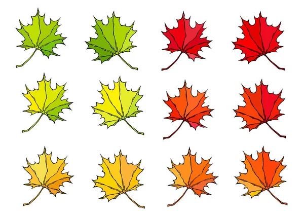 Mapas Arce Símbolo Del Día Canadá Recogida Otoño Otoño Ilustración — Archivo Imágenes Vectoriales