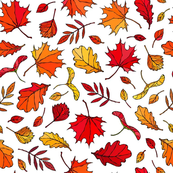 Безкратний Візерунок Осіннього Листя Maple Rowan Oak Hawthorn Birch Червоний — стоковий вектор
