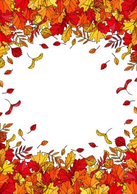 Düşen Yapraklarla Sonbahar Arkaplan Düzenleme Çerçevesi. Poster ya da kart. Maple Rowan, Oak, Hawthorn, Birch. Kırmızı, Turuncu ve Sarı. Gerçekçi El Çizimi Yüksek Kaliteli Vektör İllüzyonu. Doodle Biçimi