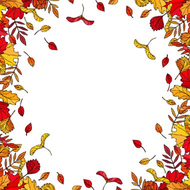 Düşen Yapraklarla Sonbahar Arkaplan Düzenleme Çerçevesi. Poster ya da kart. Maple Rowan, Oak, Hawthorn, Birch. Kırmızı, Turuncu ve Sarı. Gerçekçi El Çizimi Yüksek Kaliteli Vektör İllüzyonu. Doodle Biçimi