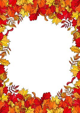 Düşen Yapraklarla Sonbahar Arkaplan Düzenleme Çerçevesi. Poster ya da kart. Maple Rowan, Oak, Hawthorn, Birch. Kırmızı, Turuncu ve Sarı. Gerçekçi El Çizimi Yüksek Kaliteli Vektör İllüzyonu. Doodle Biçimi
