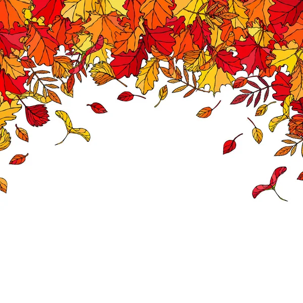 Herfst Achtergrond Layout Frame Met Vallende Bladeren Affiche Kaart Esdoorn — Stockvector
