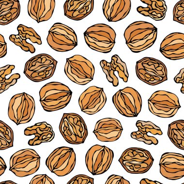 Cevizsiz Sonsuz Desen. Tam ve Soyulmuş Ceviz. Sonbahar veya Sonbahar Hasat Koleksiyonu. Gerçekçi El Çizimi Yüksek Kaliteli Vektör İllüzyonu. Doodle Biçimi