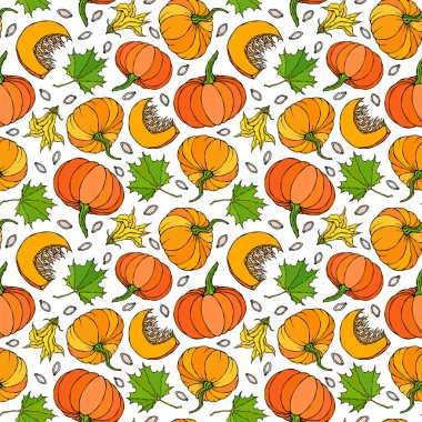 Kusursuz Balkabağı ve Akçaağaç Yaprakları Şablonu. Turuncu kabaklar, çiçekler, tohumlar. Sonbahar veya Sonbahar Sebze Hasadı Koleksiyonu. Gerçekçi El Çizimi Yüksek Kaliteli Vektör İllüzyonu. Doodle Biçimi