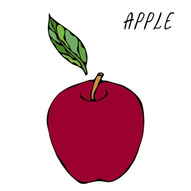 Kırmızı Elma ve Yaprak. Taze meyve. Beslenme diyeti. Sonbahar veya Sonbahar Sebze Hasadı Koleksiyonu. Gerçekçi El Çizimi Yüksek Kaliteli Vektör İllüzyonu. Doodle Biçimi