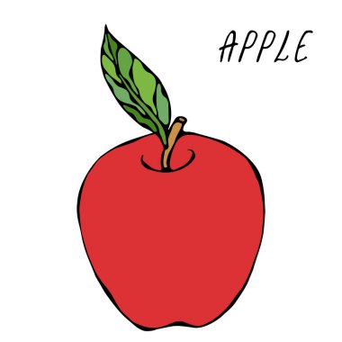 Kırmızı Elma ve Yaprak. Taze meyve. Beslenme diyeti. Sonbahar veya Sonbahar Sebze Hasadı Koleksiyonu. Gerçekçi El Çizimi Yüksek Kaliteli Vektör İllüzyonu. Doodle Biçimi