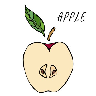 Kırmızı Elma ve Yaprak 'ın yarısı. Taze meyve. Beslenme diyeti. Sonbahar veya Sonbahar Sebze Hasadı Koleksiyonu. Gerçekçi El Çizimi Yüksek Kaliteli Vektör İllüzyonu. Doodle Biçimi