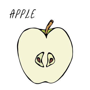 Yeşil Elma ve Yaprak 'ın yarısı. Taze meyve. Beslenme diyeti. Sonbahar veya Sonbahar Sebze Hasadı Koleksiyonu. Gerçekçi El Çizimi Yüksek Kaliteli Vektör İllüzyonu. Doodle Biçimi