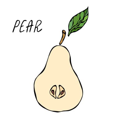 Sarı Armut ve Yaprak 'ın yarısı. Taze Meyve Besleme Rejimi. Sonbahar veya Sonbahar Sebze Hasadı Koleksiyonu. Gerçekçi El Çizimi Yüksek Kaliteli Vektör İllüzyonu. Doodle Biçimi