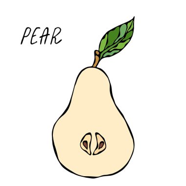 Sarı Armut ve Yaprak 'ın yarısı. Taze Meyve Besleme Rejimi. Sonbahar veya Sonbahar Sebze Hasadı Koleksiyonu. Gerçekçi El Çizimi Yüksek Kaliteli Vektör İllüzyonu. Doodle Biçimi