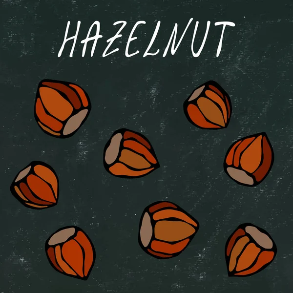 Zwart Bord Hele Ongepelde Hazelnoten Shell Gezonde Snack Herfst Herfst — Stockvector