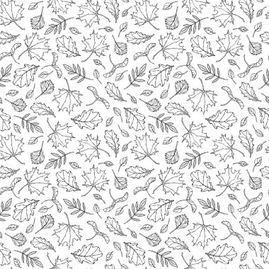 Seamless Endless Pattern of Autumn Leaves. Maple Rowan, Oak, Hawthorn, Birch. Red, Orange and Yellow. Realistic Hand Drawn High Quality Vector Illustration. Doodle Style clipart