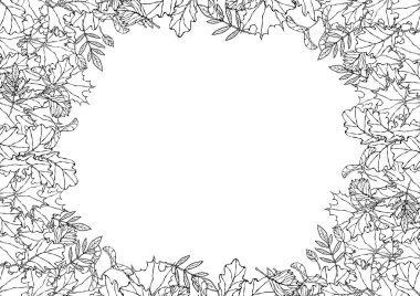 Düşen Yapraklarla Sonbahar Arkaplan Düzenleme Çerçevesi. Poster ya da kart. Maple Rowan, Oak, Hawthorn, Birch. Kırmızı, Turuncu ve Sarı. Gerçekçi El Çizimi Yüksek Kaliteli Vektör İllüzyonu. Doodle Biçimi