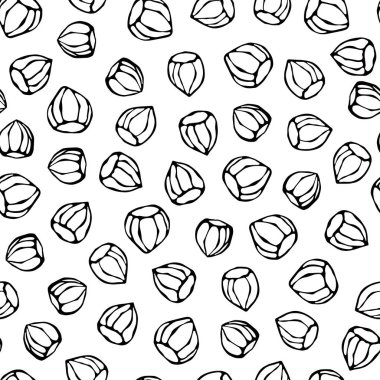 Fındıksız Sonsuz Kalıp. Soyulmamış Fındık. Sonbahar veya Sonbahar Hasat Koleksiyonu. Gerçekçi El Çizimi Yüksek Kaliteli Vektör İllüzyonu. Doodle Biçimi