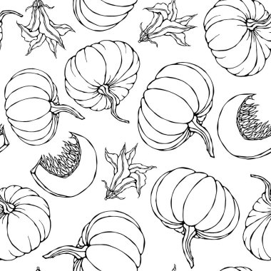 Kusursuz Sonsuz Balkabağı Düzeni. Portakallı Balkabağı, Çiçek ve Tohumların yarısı. Sonbahar veya Sonbahar Sebze Hasadı Koleksiyonu. Gerçekçi El Çizimi Yüksek Kaliteli Vektör İllüzyonu. Doodle Biçimi.