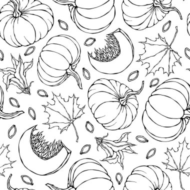 Kusursuz Balkabağı ve Akçaağaç Yaprakları Şablonu. Turuncu kabaklar, çiçekler, tohumlar. Sonbahar veya Sonbahar Sebze Hasadı Koleksiyonu. Gerçekçi El Çizimi Yüksek Kaliteli Vektör İllüzyonu. Doodle Biçimi.