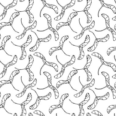 Yeşil Akçaağaç tohumlarının kusursuz sonsuz deseni. Sonbahar veya Sonbahar Sebze Hasadı Koleksiyonu. Gerçekçi El Çizimi Yüksek Kaliteli Vektör İllüzyonu. Doodle Biçimi.