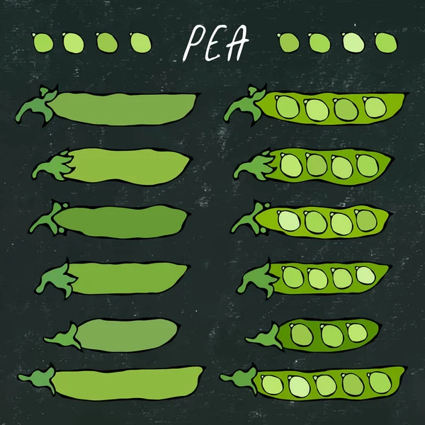 黑板。青豆小豆荚。健康的生物素食。逼真的手绘高品质矢量插图。涂鸦风格. — 图库矢量图片