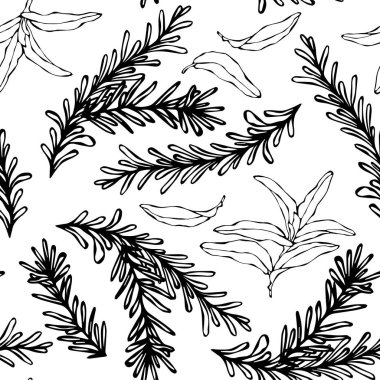 Biberiye Şubesi ve Adaçayı 'nın kusursuz sonsuz deseni. Aromatic Healing Herb 'ün geçmişi. Biftek Baharatı. El Çizimi İllüstrasyonu. Savoyar Doodle Biçimi.