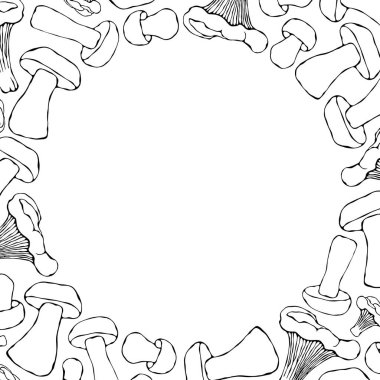 Chanterelle Çemberi, Boletus veya Porcini, Aspen Mantar Arkaplanı. Sonbahar veya Sonbahar Sebze Hasadı Koleksiyonu. Gerçekçi El Çizimi Yüksek Kaliteli Vektör İllüzyonu. Doodle Biçimi.