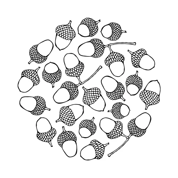 Kerek sablon háttér barna makk. Ősszel vagy őszi növényi termés gyűjtemény. Reális kézzel rajzolt kiváló minőségű vektoros illusztráció. Doodle stílus. — Stock Vector