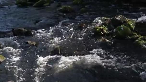 Floden Vatten Bergslandskap Floden Bergen — Stockvideo