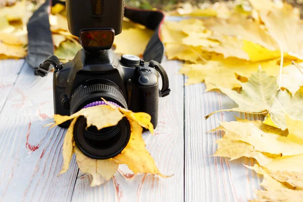 黄色い紅葉 レトロなスタイルの木製の背景 カメラ レンズ クローズ アップ — ストック写真