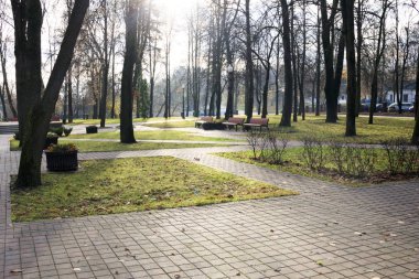 geç düşmek. Hemen hemen hiç yaprakları vardır. Park şehir merkezinde. taş yolları