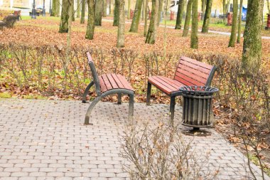 geç düşmek. hemen hemen hiç yaprakları. Boş tezgah sonbahar parkta. yakın çekim.
