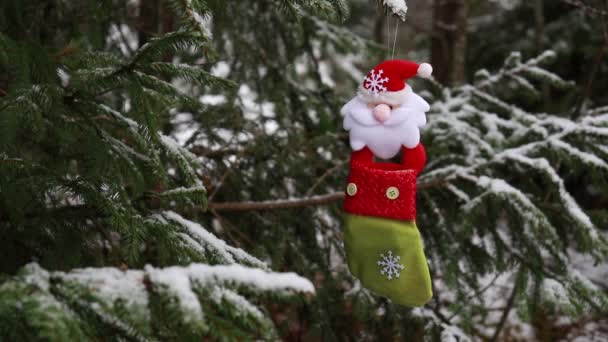 緑のトウヒ サンタ クロースとクリスマスの靴下 おもちゃの枝にハングアップして判明 — ストック動画