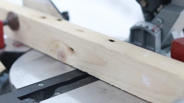 Face Saw Sawing Piece Wood Close Shallow Depth Field — Stock Video