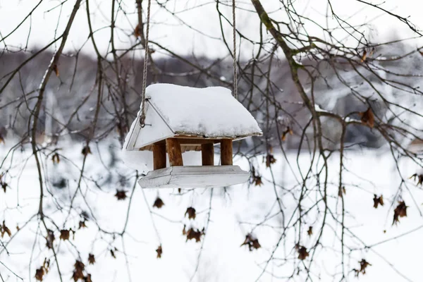 Inverno Neve Freddo Presepe Invernale Legno Uccelli Appesa Ramo Albero — Foto Stock