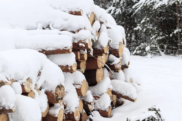 森林锯处理 堆积如山 雪倒没有 — 图库照片