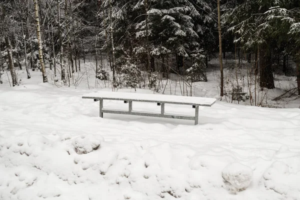 Winter, a lot of snow. Forest and bench abandoned by snow