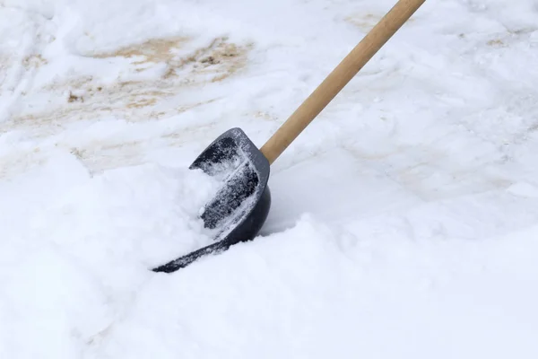 Winter Lot Snow Young Girl Cleans Proud Doing Big Shovel — Stock Photo, Image