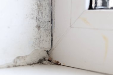 Beyaz'ın köşesinde. o mahvoldu. bir mantar üzerinde oluşturmuştur. bir delik var. değil yüksek kaliteli yükleme.