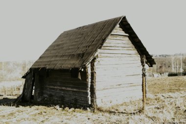Ağacının eski yapısı. Bu uzun bir süre kimse yaşıyor. Tonlama var