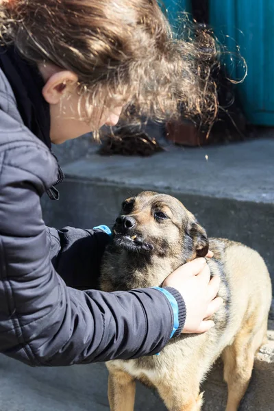 Una chica acaricia a un perro callejero. realmente le gusta. profundidad de campo poco profunda . — Foto de Stock