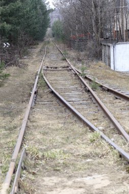 Tren. ahşap Sleepers. Retro. o çim ile büyümüş. Tren gitmedi.