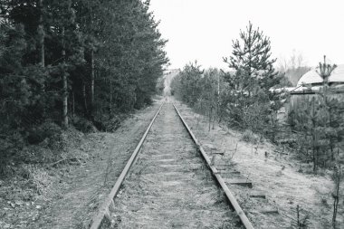 Tren. ahşap Sleepers. Retro. o çim ile büyümüş. Tren gitmedi.