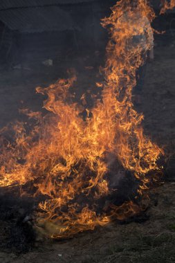 sokakta çimenler yanıyor. Ateş çok büyük. sıradan ikamet bir yaba ile yangın söndürmek için çalışıyor