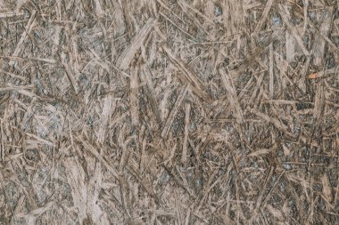 Doku. beton şap osb plaka üzerinde baskı. Gün ışığı. orada tinting.