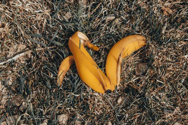 banana peel on dry grass. daylight. there is toning.