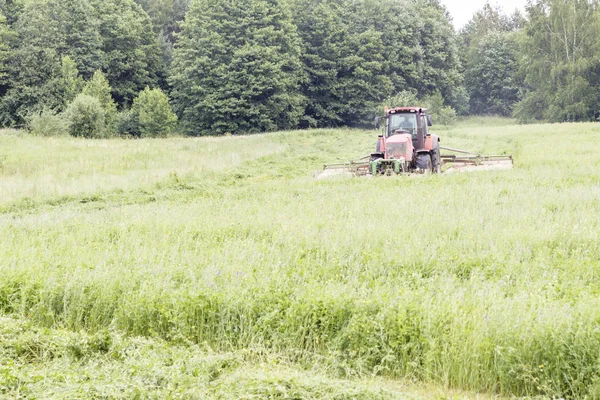 Tractor mows the grass. harvesting hay for the winter — Stock Photo, Image