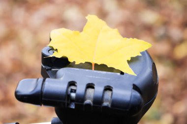 Sonbahar. tripod siyah. üzerinde sarı bir huş yaprağı var. doğal aydınlatma.