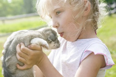 Kız çok küçük bir köpek yavrusu tutuyor. Gün ışığı. Close.