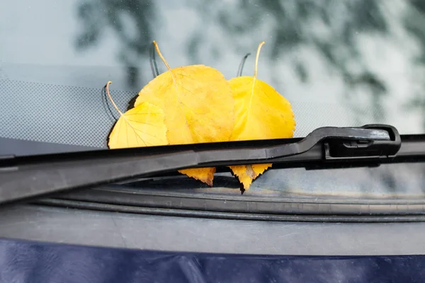 Luce del giorno. quasi autunno. foglie gialle attaccato il parabrezza. c'è anche un custode . — Foto Stock