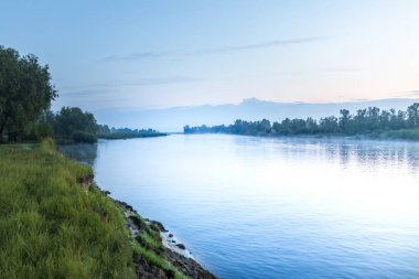 Pripyat Nehri. Sabahın erken saatlerinde. Ana Nehir Polesie. Temmuz 2019'da çekilen fotoğraf