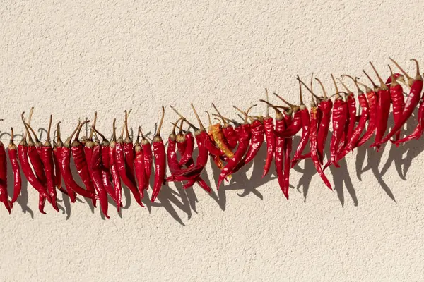 Gün ışığı. kırmızı biber sokakta bir ip üzerinde kurur. orada tinting.