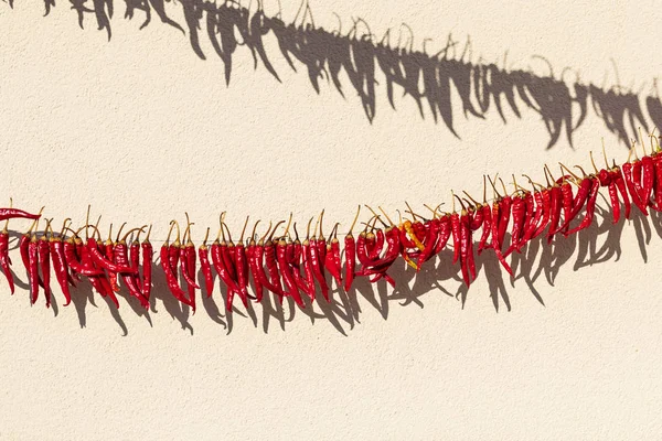 Gün ışığı. kırmızı biber sokakta bir ip üzerinde kurur. orada tinting.